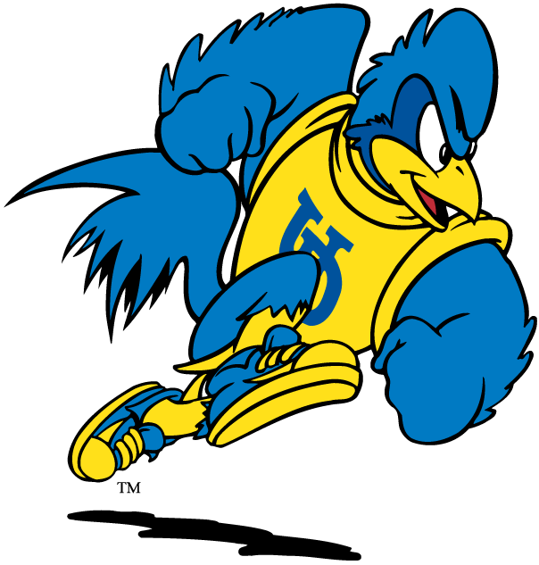 delaware blue hens 1993-pres mascot Logo v2 iron on transfers for fabric